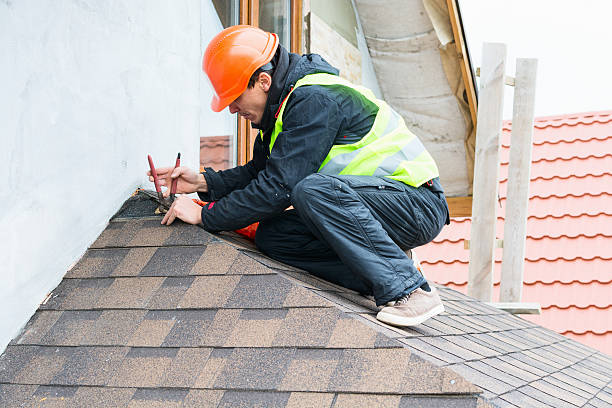 Best Roof Gutter Cleaning  in West Bishop, CA
