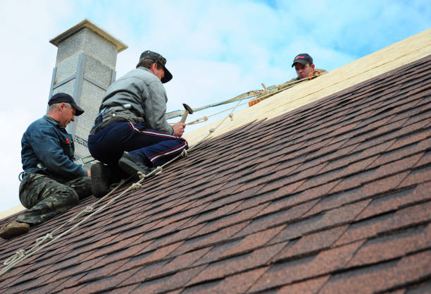 Best Roof Maintenance Services  in West Bishop, CA