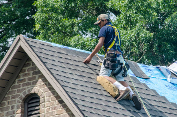 Quick and Trustworthy Emergency Roof Repair Services in West Bishop, CA